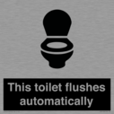 this-toilet-flushes-automatically~